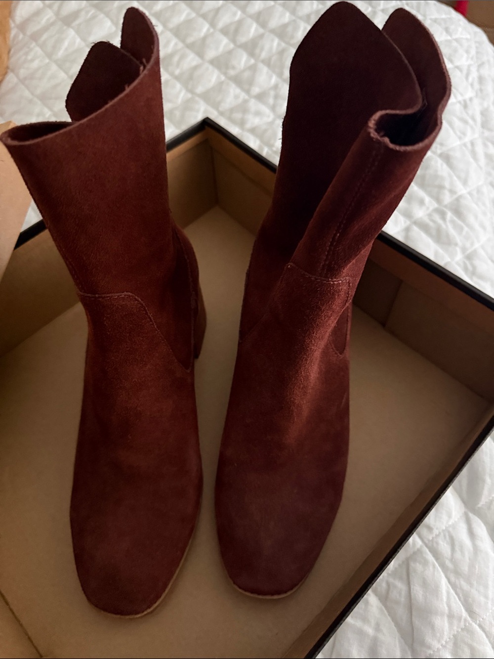 Kelsi Dagger Suede Mid-Calf Boots in Burgundy Brown